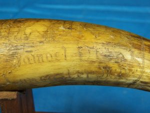 Hessian- Rev.War Powder Horn