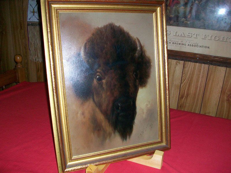 Buffalo Painting