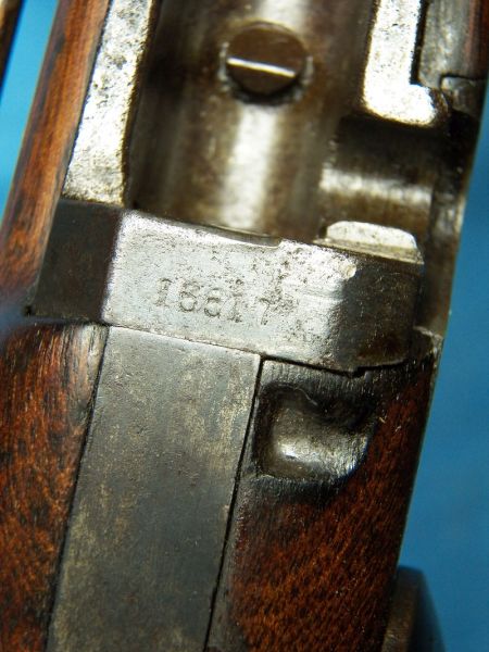 1873 Springfield T.D. Carbine