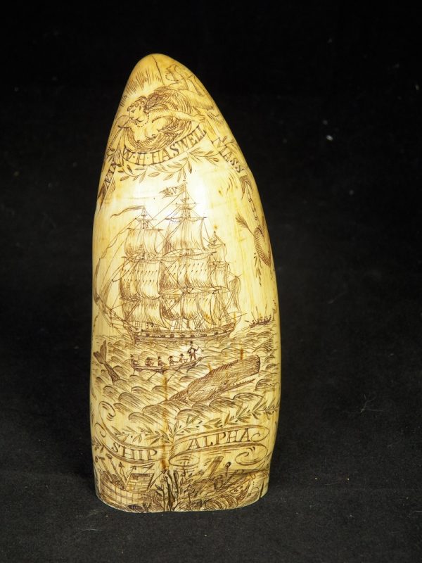 Mid 19th Century Whale Tooth