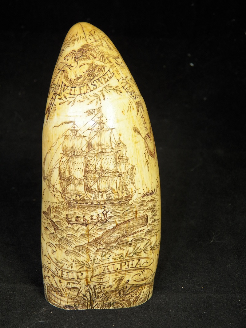 Mid 19th Century Whale Tooth