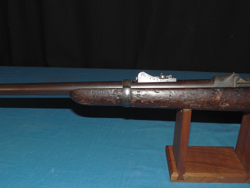 1879 Springfield T.D Carbine